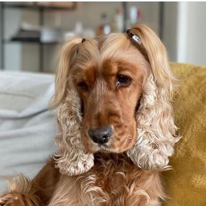 Meet your Posher, Louise